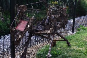 Žmonės renkasi apsipirkti elektroninėje parduotuvėje